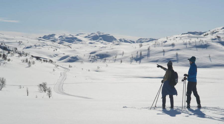 Лыжные трассы с прокатом беговых лыж. В нижегородской области появится еще одна лыжная трасса