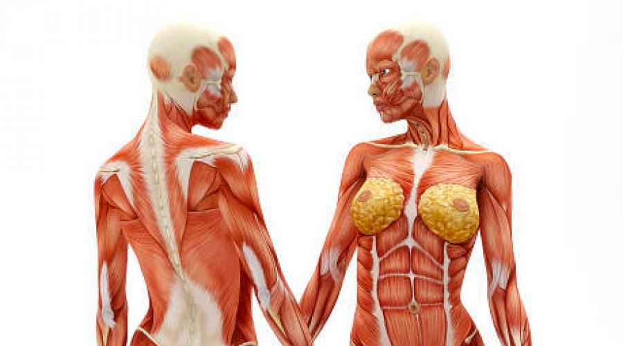 Упражнения для оздоровления шейного отдела и спины. Комплекс упражнений для мышц спины и шеи Упражнения для позвоночника спины шеи
