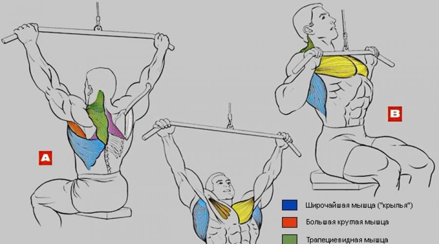 Тяга блока на широчайшие мышцы спины. Тяга верхнего блока основные виды и принципы выполнения упражнения
