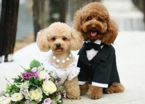 Поздравления с днем свадьбы