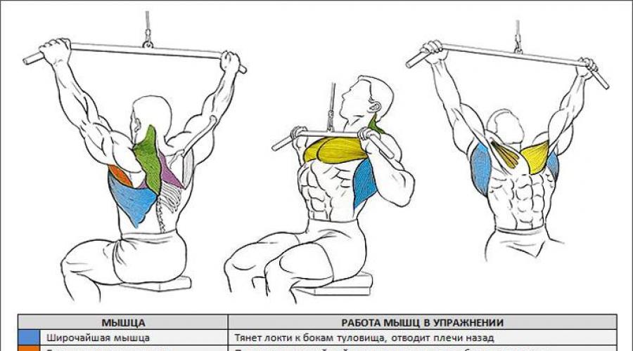 Изучаем все тонкости, виды и секреты правильной тяги вертикального блока. Тяга нижнего блока
