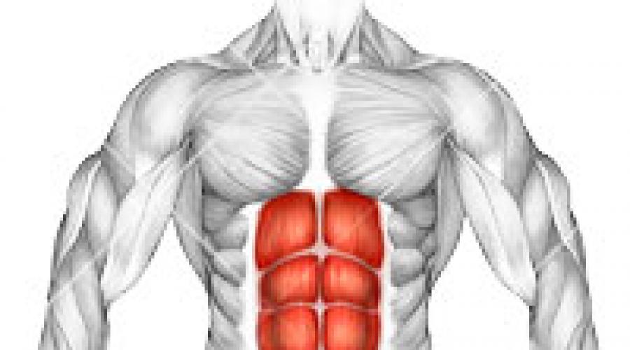 боковые скручивания на пресс. сокращается пресс. упражнение боковые скручивания. пресс reverse crunch. сокращается пресс.