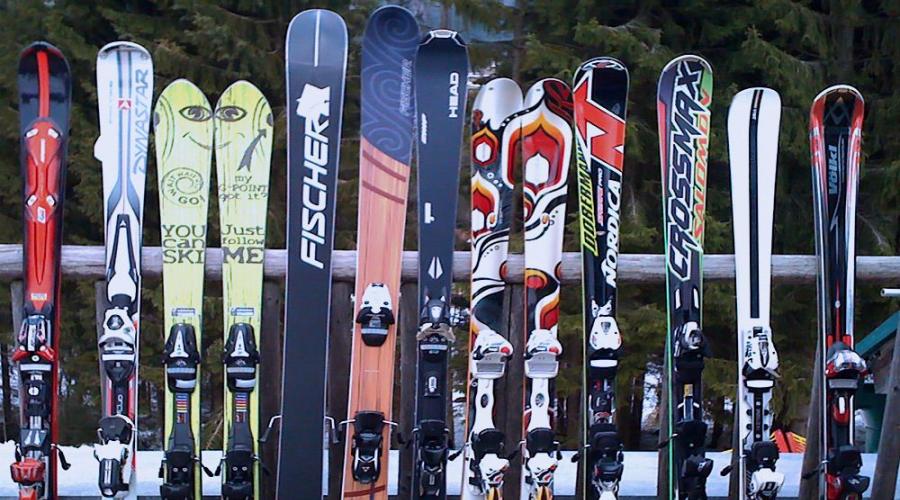 Лыжи для целины фрирайд. Как выбрать первые лыжи для внетрассового катания