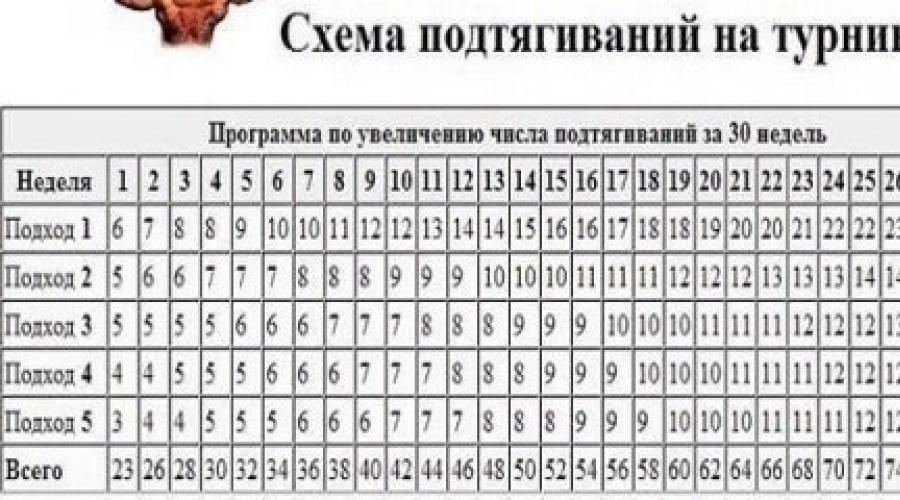 Схема на подтягивания