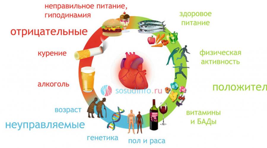 Как укрепить сердце бодибилдерам? Аптечные препараты для бодибилдинга, по небольшой цене в любой аптеке Влияет ли качалка на сердце. 